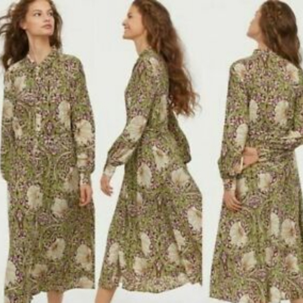 H&M x Morris Co Art Nouveau Dress